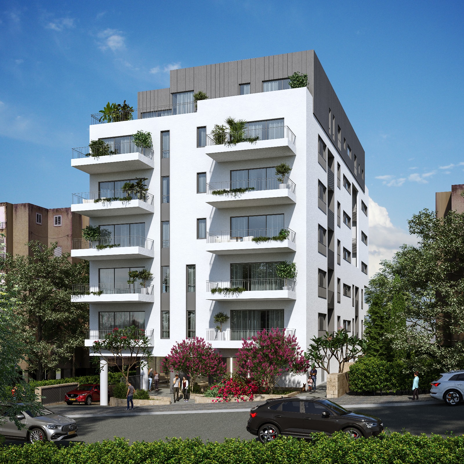 הדמיית החזית